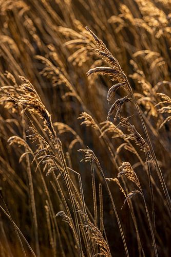 Sunrise, you can feel the heat!