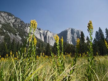 El Capitan, Yosemite National Park