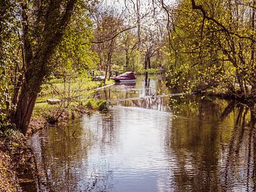 Landschaft im Spreewald in Brandenburg von Animaflora PicsStock