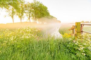 Zonsopgang over de Zwartendijk bij Kampen in het voorjaar van Sjoerd van der Wal Fotografie