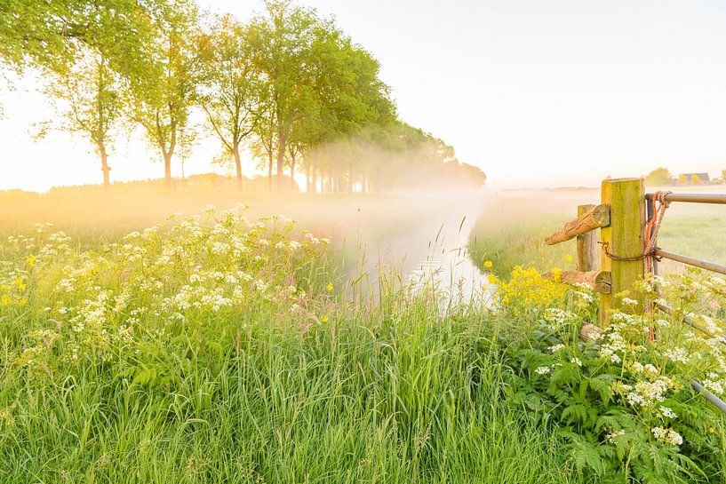 Sunrise over the Zwartendijk near Kampen during springtime by Sjoerd van der Wal Photography
