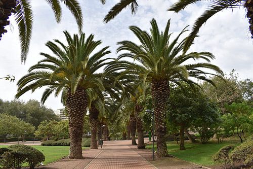 Een Paloma Park trail in de zomer