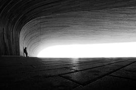 Under the wood by Marc Lehmann