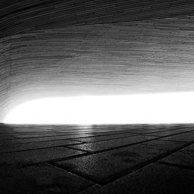Under the wood von Marc Lehmann