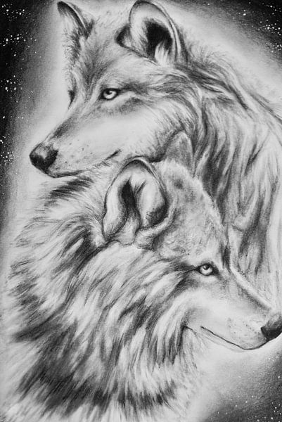 Tekening Wolven by Cynthia Jansen