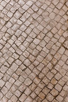 Portuguese tiles by Joke van Veen