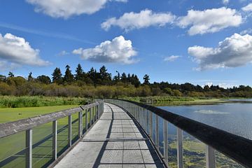 A footbridge over the pond by Claude Laprise