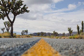 Entre les bras de Joshua