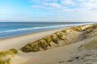 Strand und Dünen an der niederländischen Küste von Michel van Kooten Miniaturansicht