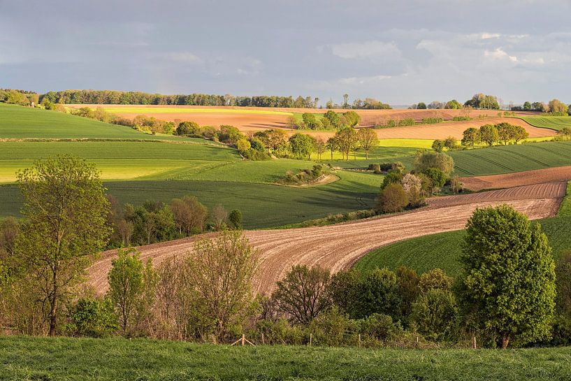 Fields Fromberg by Rob Boon