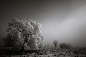 Winterliche Dunkelheit - Lauwersmeer, Die Niederlande