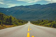 Endless roads by Lars van 't Hoog thumbnail