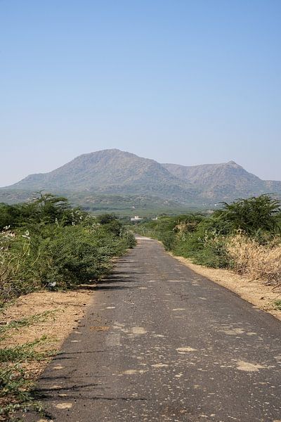 Ländliche Landschaft auf dem Weg nach Bhuj von Frank Photos