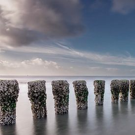 Die schöne Küste von Cadzand von Robby's fotografie