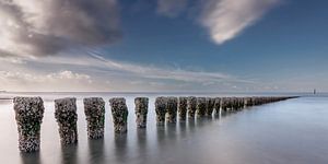 De mooie kust van Cadzand