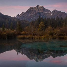 Slovenian morning reflection in the nature reserve of Zelenci by Gunther Cleemput