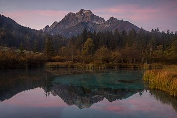 Sloveense ochtendreflectie in het natuurreservaat van Zelenci