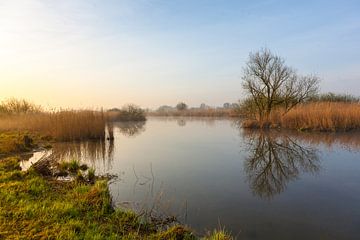 Morgenstimmung von Evert Jan Kip