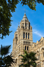 National History Museum, London, England by Nynke Altenburg