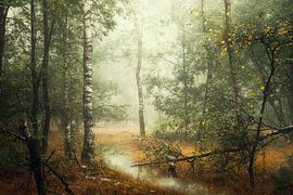 Bouleaux en automne II sur Kees van Dongen