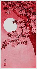 Bloeiende kersenbloesem bij maanlicht in rood (Ohara Koson)