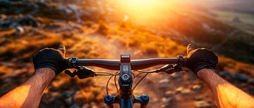 Fietsen bij zonsondergang van Poster Art Shop