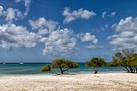 Aruba