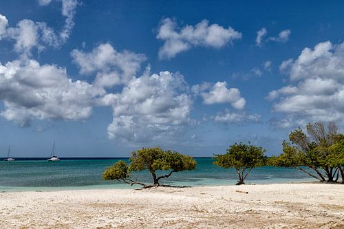 Strand tropisch op Aruba