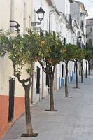 Espagne - belle Benissa