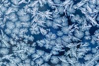 Freezing cold