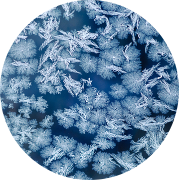 Freezing cold van Laura Vink