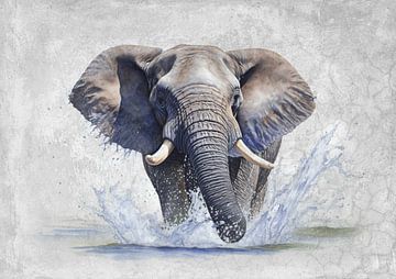 Water loving elephant by Lucia