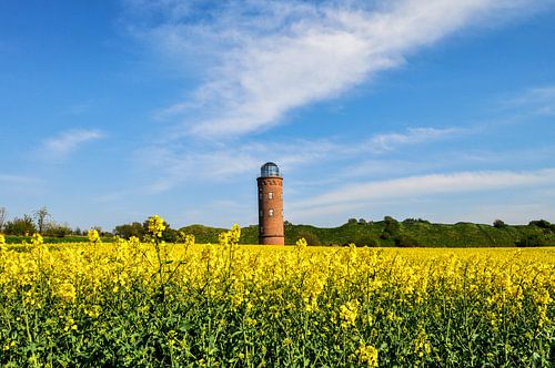 Peilingstoren op Kaap Arkona, koolzaadveld