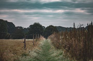 moody wandelpad van Tania Perneel