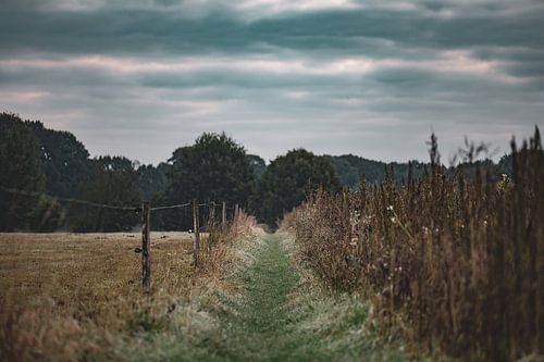 moody trail