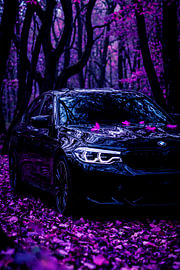 Herbst-Noir von John Dan