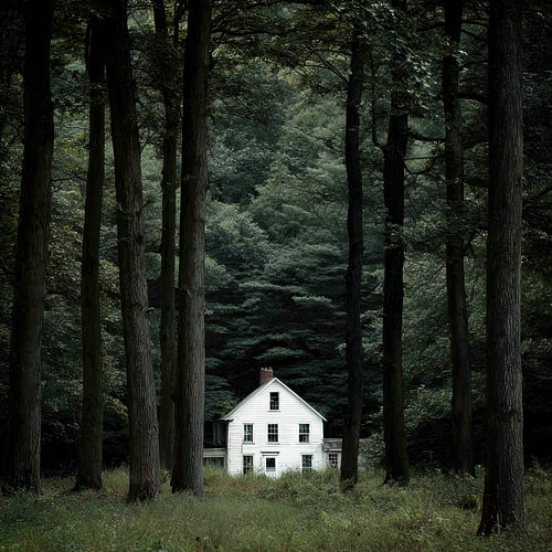 Forest House by Vlindertuin-Art
