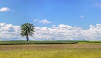 Filder landschap bij Wolfschlugen