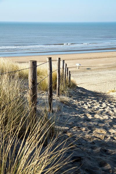 Duinen strand Zandvoort van Christine Vesters Fotografie