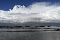 Silence avant la tempête.............