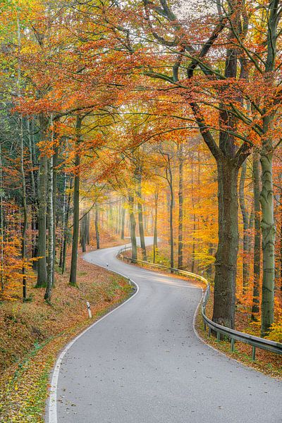 Straße durch den Herbstwald von Michael Valjak