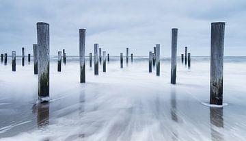 Palmendorf Petten von Arjan Keers