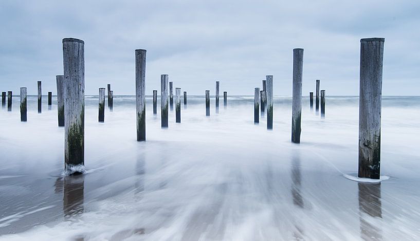village de palmiers Petten par Arjan Keers