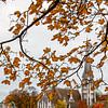 herfst in Kopenhagen van Eric van Nieuwland