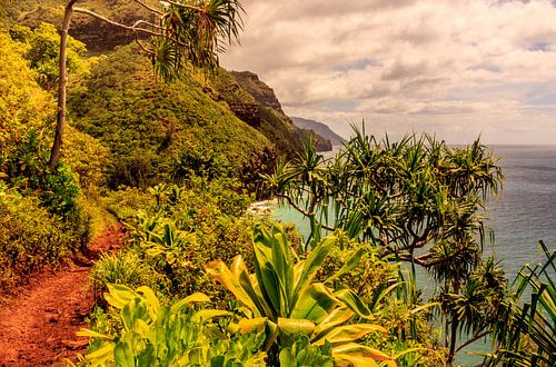 Hawaii