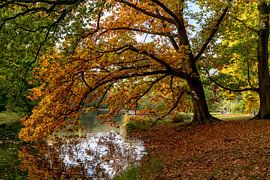 Sonsbeekpark