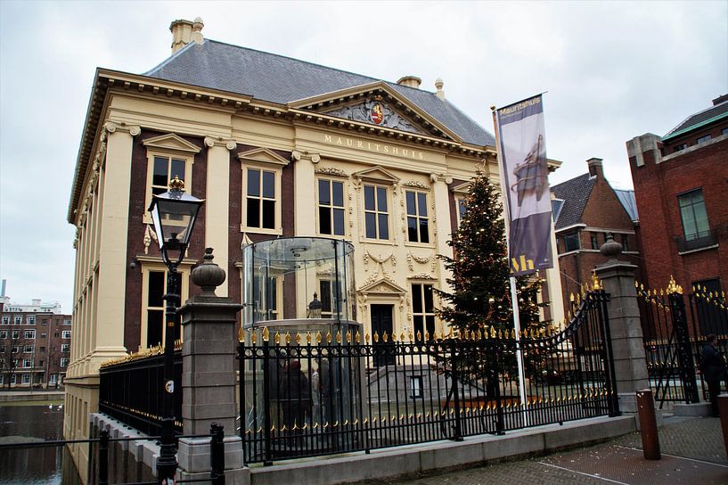 Mauritshuis Den Haag van Maurits Bredius