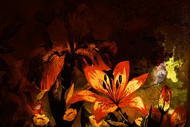 Iris and a Face by Helga Blanke