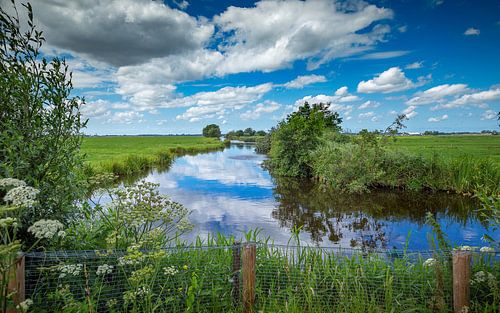 Das große Bewusstsein