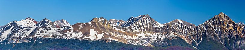 Berggipfel der kanadischen Rocky Mountains von Rietje Bulthuis